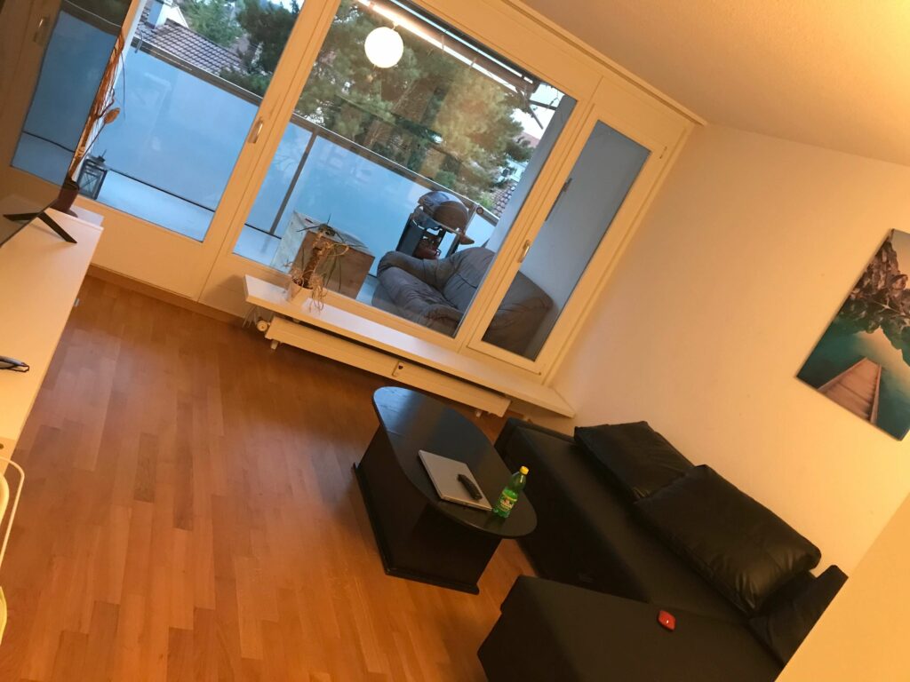 student apartment pictured: the living room