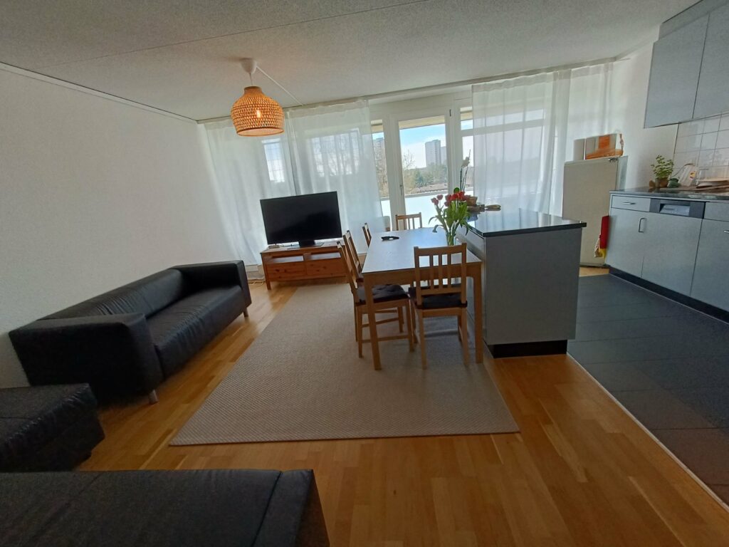 wohnzimmer mit sofa, kommode, tv, Küchenzeile, Esstisch, mit vier stühlen, teppich
